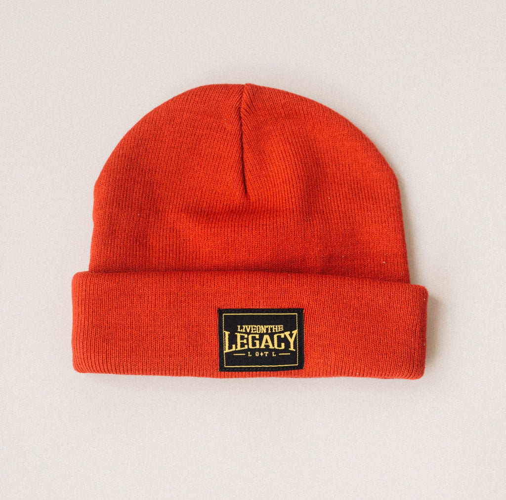 L O • T L Knit Beanie image 0