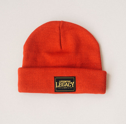 L O • T L Knit Beanie image 0